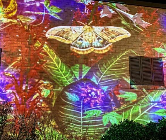 Downtown Cary's series GLOW brings a surprise pop-up virtual reality wall to Academy Street.