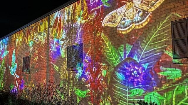 Wondrous: Check out this virtual reality mural in downtown Cary