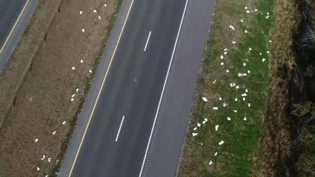Adult diaper spill litters Pitt County highway for days