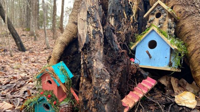 PHOTOS: Fairy houses spotted in the Triangle 