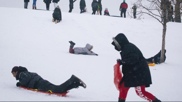 Here are the best places to sled in Raleigh, Durham, Cary