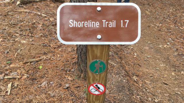 Take the Kids: Explore the shoreline of Falls Lake on Forest Ridge Park's Shoreline Trail