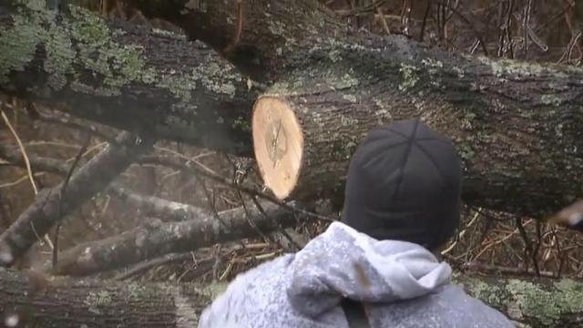 Power outages persist in northern NC after ice storm