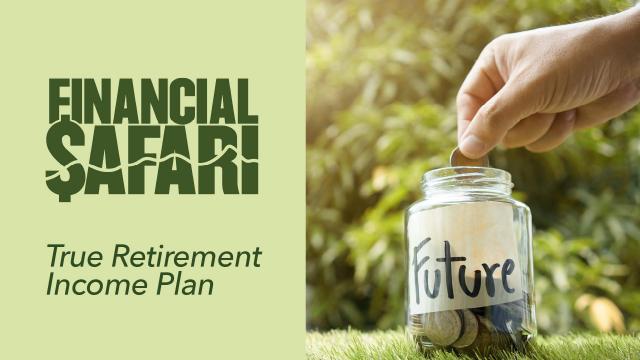 Ep 30: True retirement income plan (Financial Safari) 