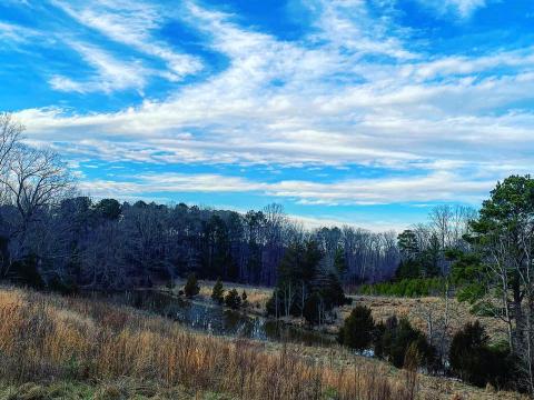 A beautiful scene at Raleigh's first nature preserve.