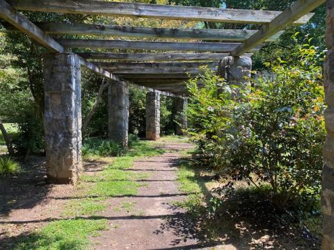 Raleigh flower trail: Best springtime hikes, trails, parks and activities in Raleigh.