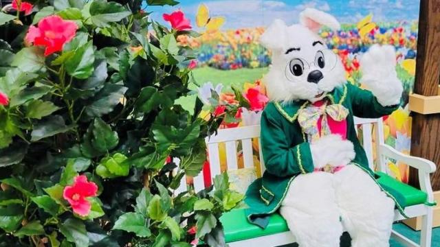Easter Bunny hops into Crabtree Valley Mall