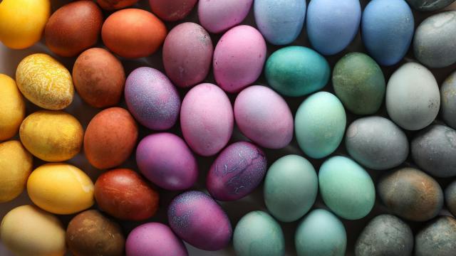 With 18,000 eggs from NC, Easter Egg Roll returns to White House