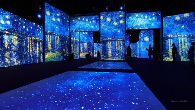 Biltmore to host Van Gogh, Monet, Da Vinci experiences