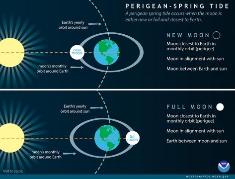 Often between 6-8 times a year, the new or full moon coincides closely in time with the perigee of the moon — the point when the moon is closest to the Earth. These occurrences are often called 'perigean spring tides.' High tides during perigean spring tides can be significantly higher than during other times of the year. (NOAA)
