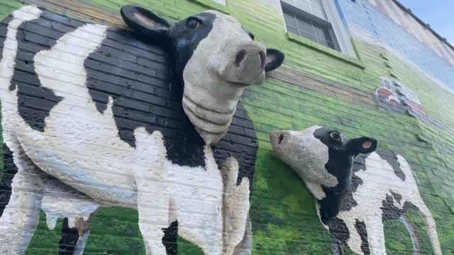Mural trail showcases Sanford's history through art 