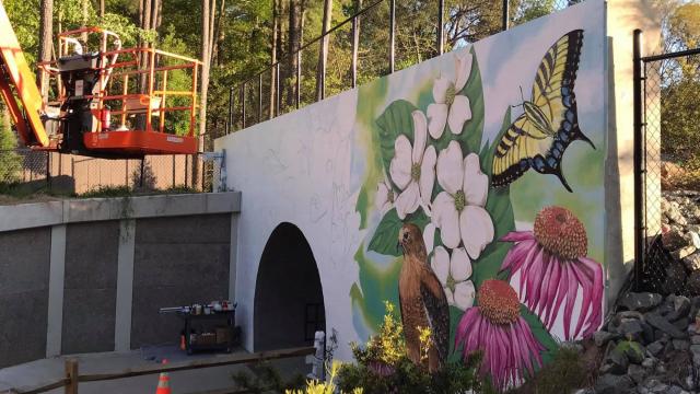 North Carolina mural painted on Cary trail that will run from Maine to Florida 