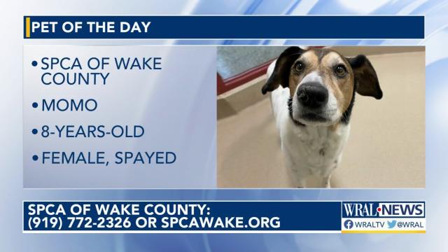 Pet of the Day: Friday, May 14