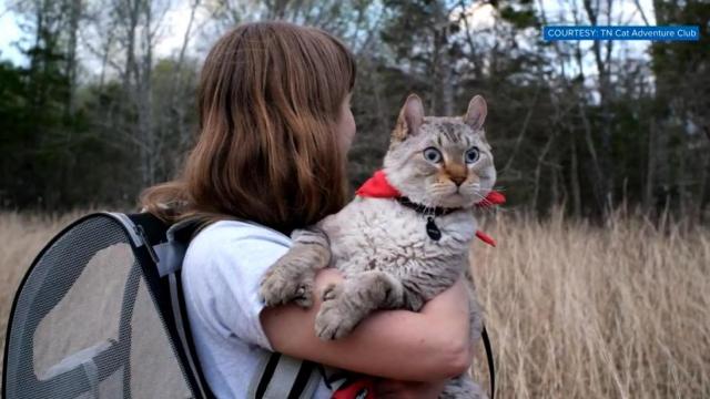 Woman trains cats to go hiking 