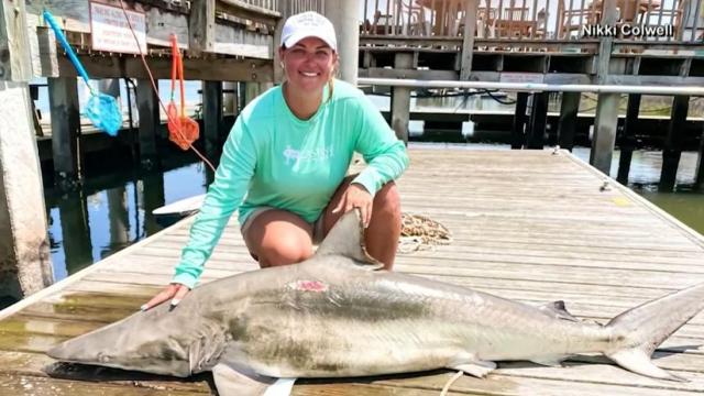 South Carolina teacher catches record shark 
