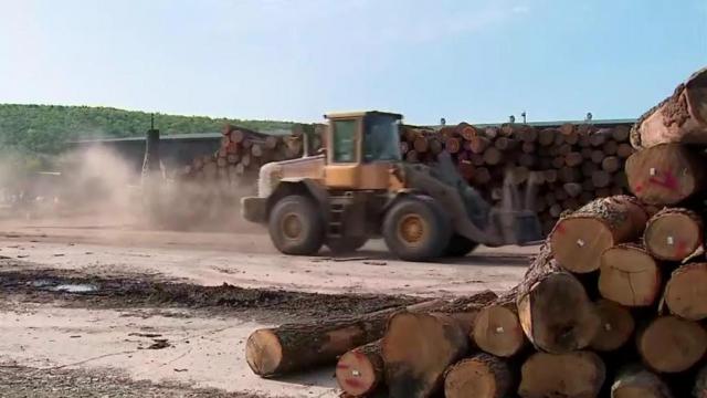 Rising price of lumber impacting almost everything you buy 