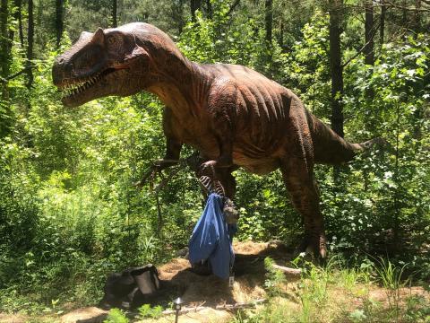 
If you love dinosaurs or if you're a kid at heart, you will love Sweet Valley Ranch on Sunnyside School Road right outside of Fayetteville.

