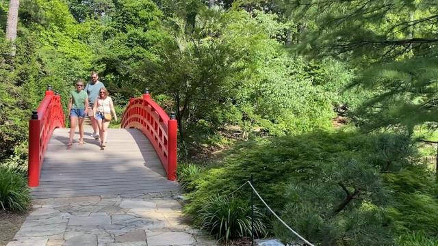 Duke Gardens welcomes public back after being closed for more than a year
