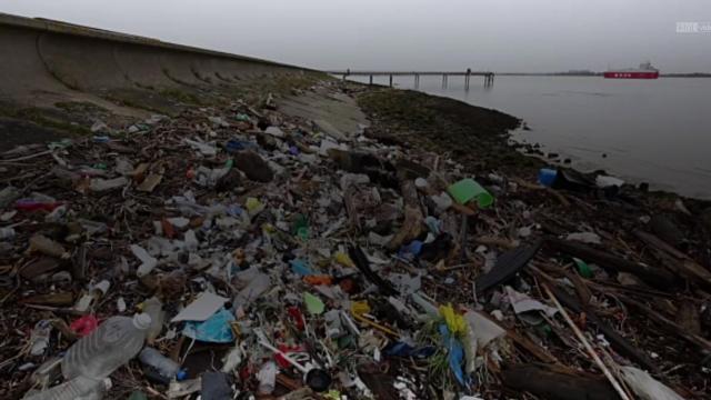 Fast food waste rapidly filling the ocean with plastic 