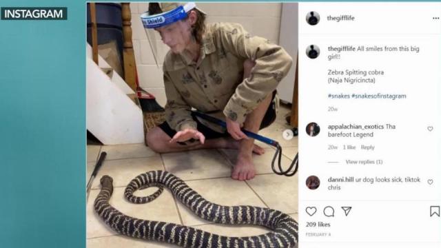 Owner of venomous zebra cobra connected to previous snake bite story