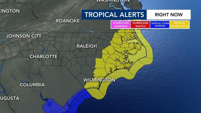 The National Weather Service has issued a Tropical Storm Watch for North Carolina's coastal waters until further notice, as Tropical Storm Elsa nears Florida. 

