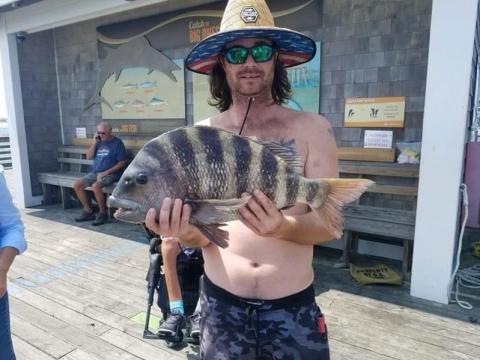 Sheepshead fish caught off coast of Nags Head. Photo taken by Jennette's Pier in Nags Head/Photographer George Craig