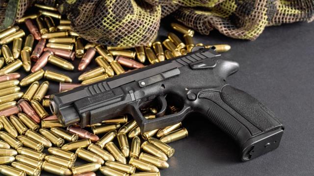 Durham sheriff hosts gun buy back event, offering up to $200 for resident's guns