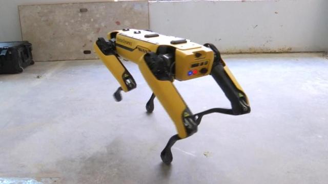 Robot dog designed to guard construction sites 
