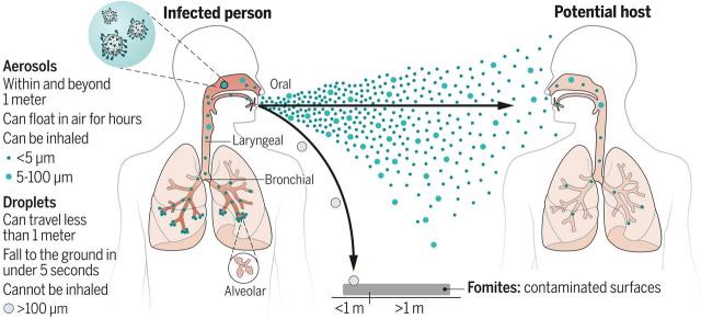 Figure 1 from "Airborne transmission of respiratory viruses" study, Science Magazine, Aug. 27, 2021.