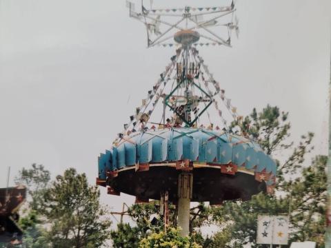 A whirligig back in its original home on Simpson's farm in Lucama, NC. (Image courtesy of Donna Betts)