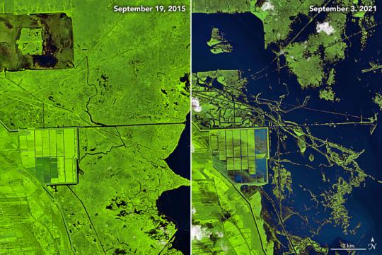 "A combination of flooding, erosion, and defoliation during Ida likely created many of the new patches of open water visible in the Landsat image," explained Marc Simard, the principal investigator for NASA's Delta-X mission.  Images: Landsat/NASA/USGS