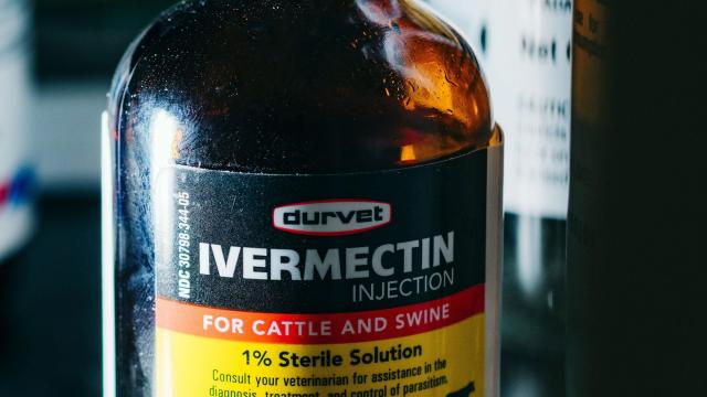 Ivermectin Does Not Reduce Risk of COVID Hospitalization, Large Study Finds