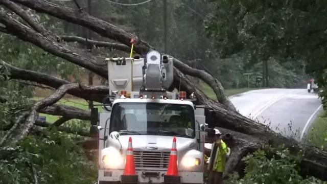 Tree falls on car, blocking Highway 42 