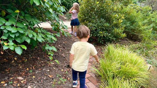 Family fun ahead at this Raleigh arboretum