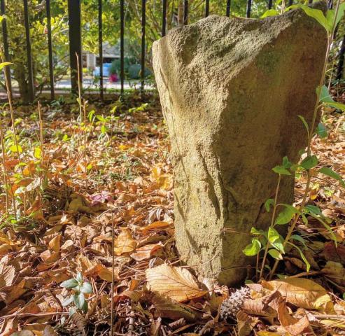 Ghost of the High House in Cary: The family cemetery was found overgrown in a nearby development.