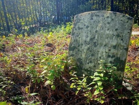 Ghost of the High House in Cary: The family cemetery was found overgrown in a nearby development.