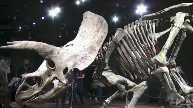 Dinosaur skeleton auctioned for $7.7 million 
