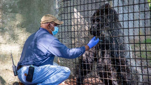 NC Zoo closing next week for staff training, maintenance