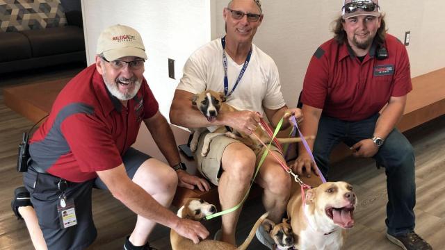 Pilots N Paws is a national organization that allows volunteers to transport animals to shelters, rescues or adopters across the country -- and Raleigh Exec is just one of the many participating airports across the country. (Photo Courtesy of Raleigh Executive Jetport)

