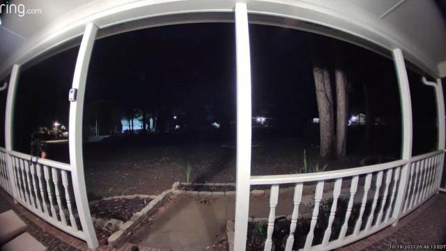 Doorbell cam shows coyote chasing Charlotte woman's cat