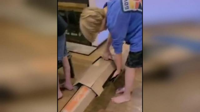 Pennsylvania boy dresses as crocodile after being attacked by one
