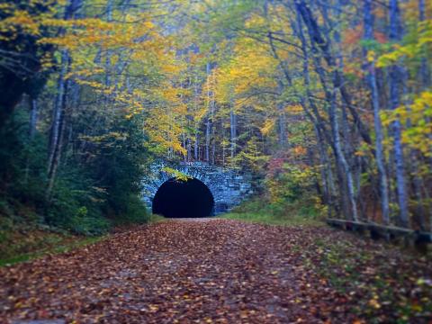 The "Road to Nowhere" near Bryson City, NC is a 6-mile mountain road that ends at a tunnel to nowhere.