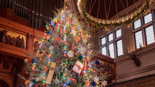 Christmas at Biltmore has begun with annual tree raising