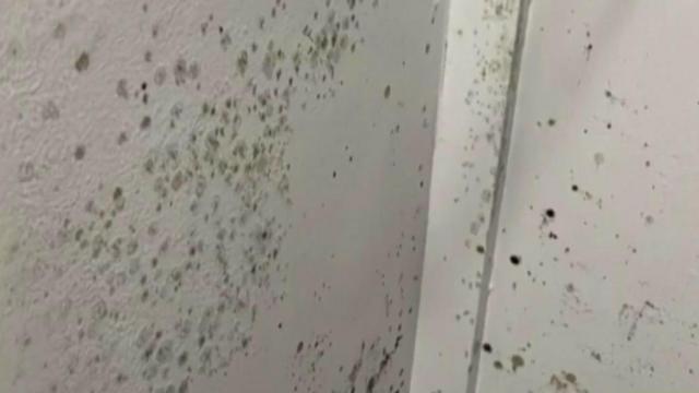 Duke students find mold in dorm rooms 