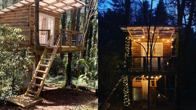 Perfect hideaway: Hendersonville treehouse rated best new Airbnb in North Carolina