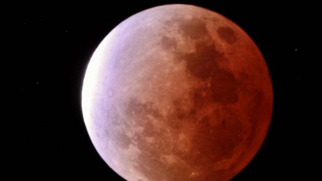 Your images: Best shots of Friday's near-total lunar eclipse