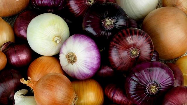 Check your fridge: certain onions recalled due to Salmonella outbreak 