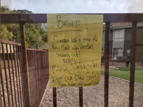 Las Vegas woman says meat laced with safety pins tossed into apartment dog park