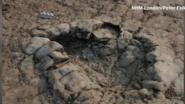 Scientists discover 200 million year old dinosaur footprint 