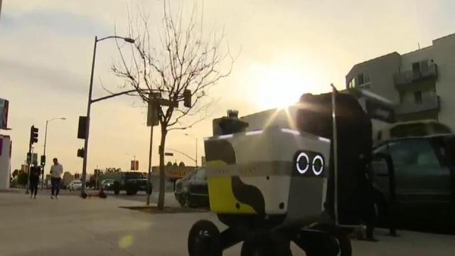 Service industry turns to robots amid labor shortage 